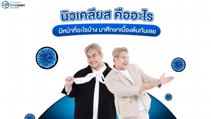 นิวเคลียส คืออะไร มีหน้าที่อะไรบ้าง มาศึกษาเบื้องต้นกันเลย