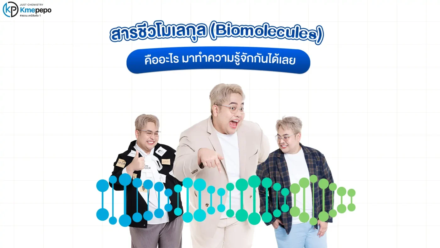 สารชีวโมเลกุล (Biomolecules) คืออะไร มาทำความรู้จักกันได้เลย