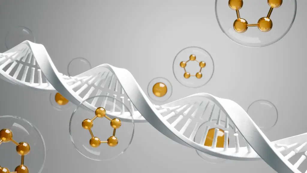 เอนไซม์คืออะไร? (What is an Enzyme?)