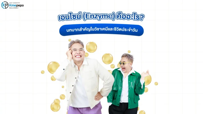 เอนไซม์ (Enzyme) คืออะไร? บทบาทสำคัญในวิชาเคมีและชีวิตประจำวัน
