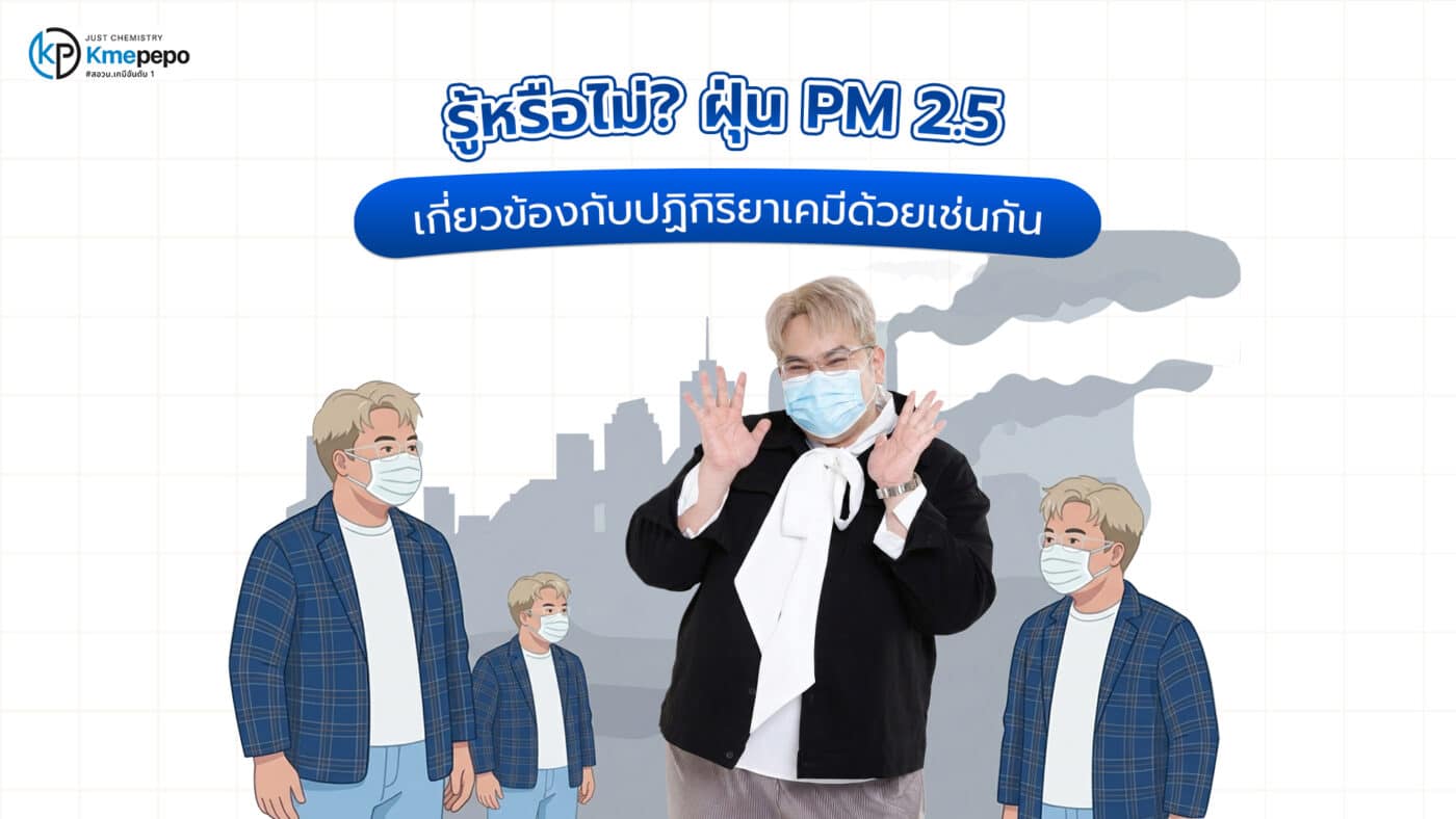 ฝุ่น PM 2.5